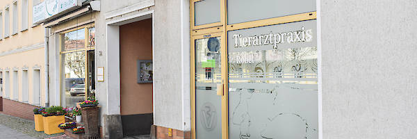 Tierarztpraxis Dresdener Straße Spremberg Tierarztpraxis Dresdener Straße Spremberg